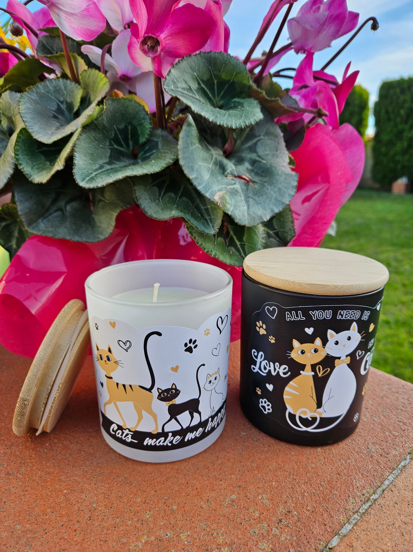 ➔ Candele profumate - Gatti