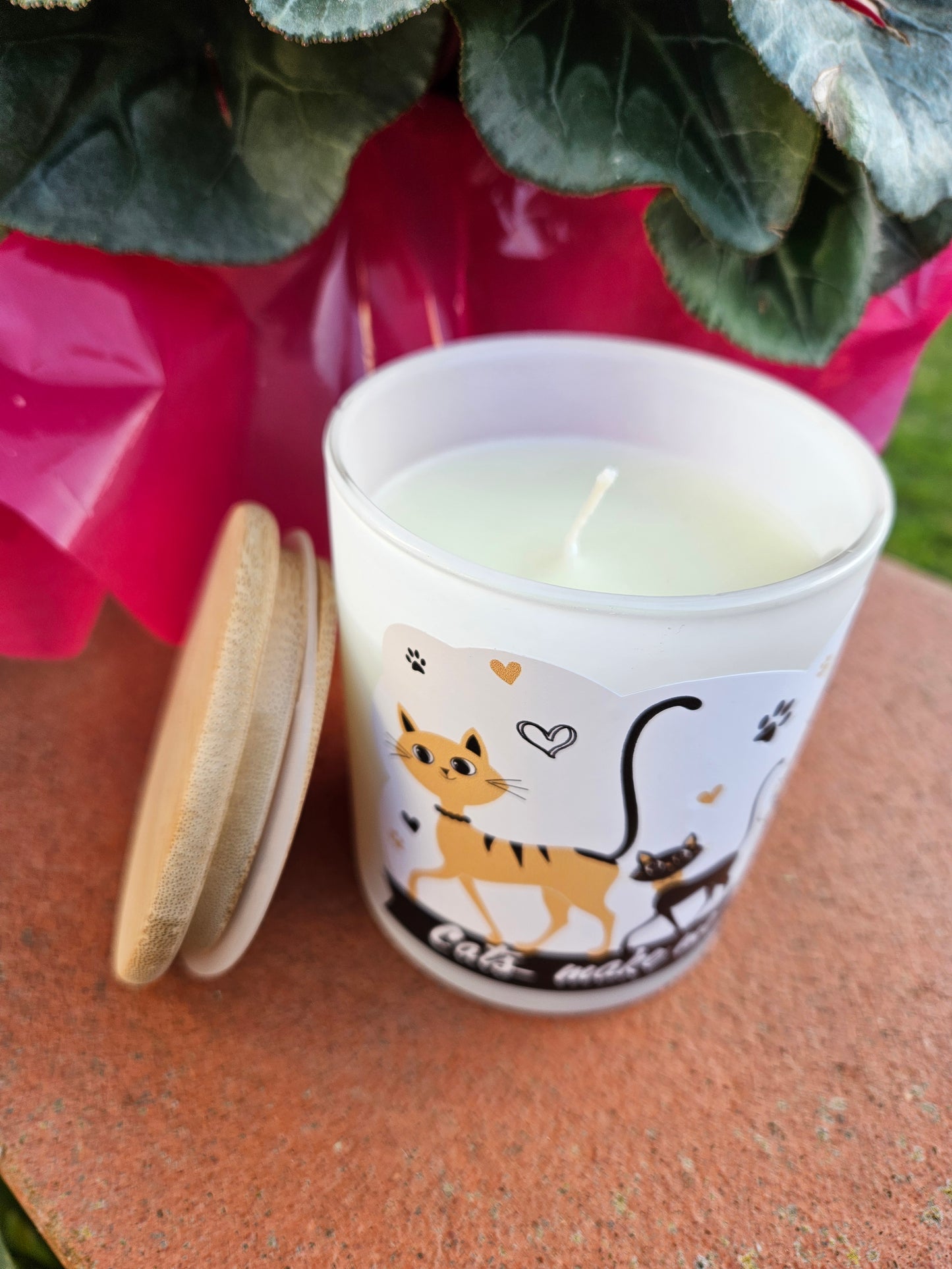 ➔ Candele profumate - Gatti