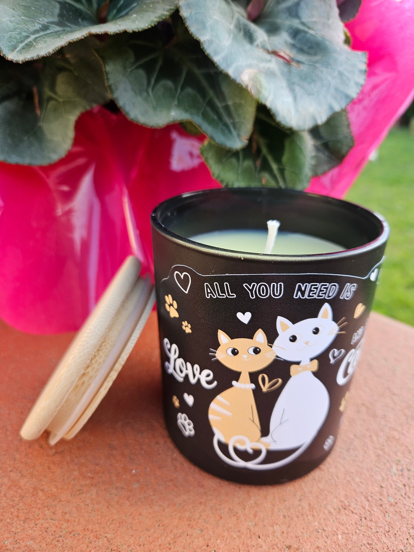 ➔ Candele profumate - Gatti