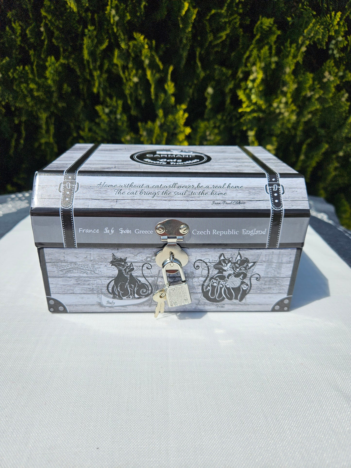 ➔ Tazza -Travelling - Crazy Cats, Parigi (CARMANI)