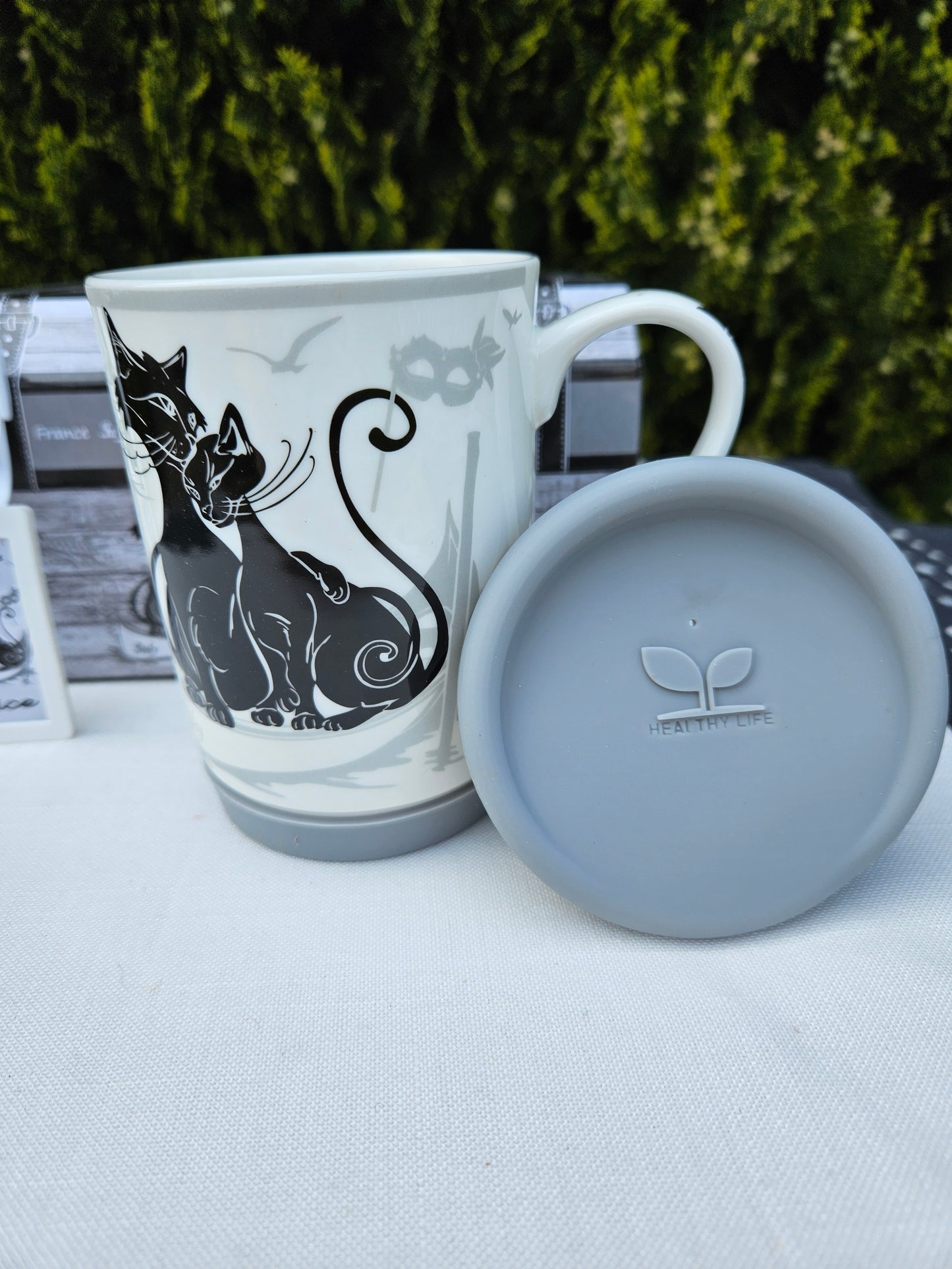 ➔ Muki -Travelling - Crazy Cats, Venetsia (CARMANI)