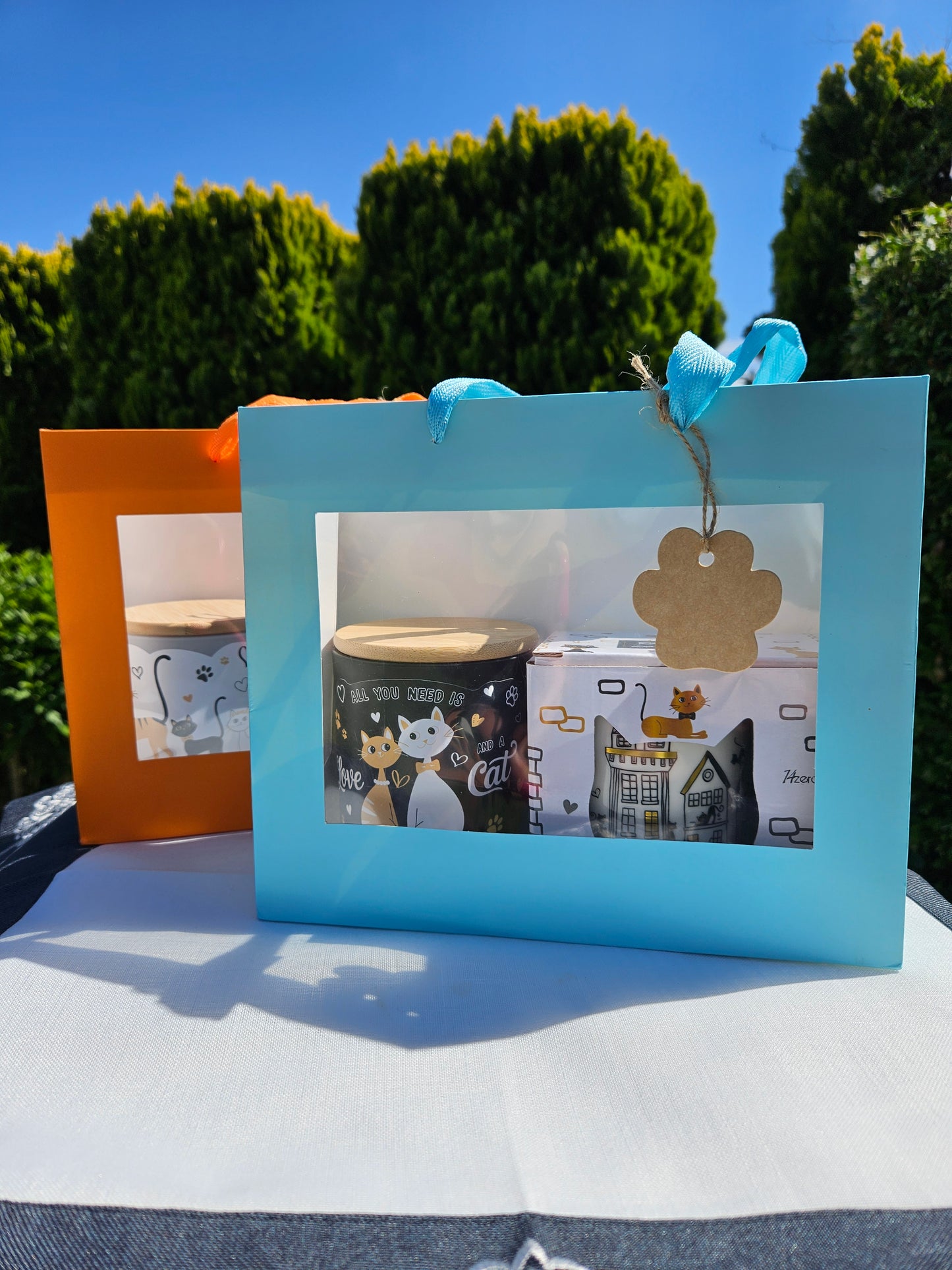 ➔ Set regalo - Gatti innamorati