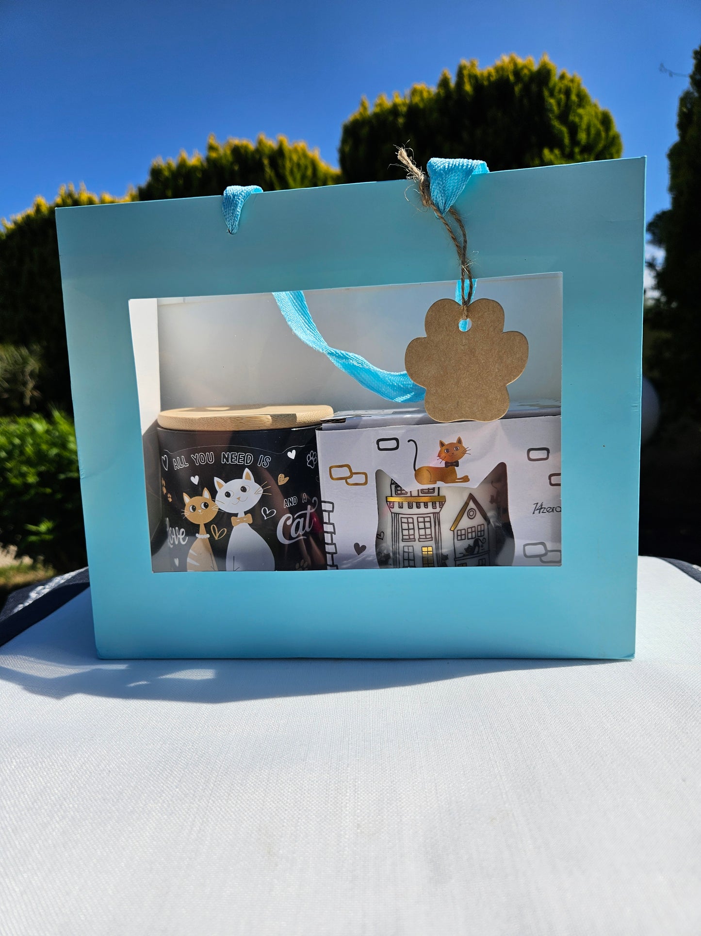 ➔ Set regalo - Gatti innamorati