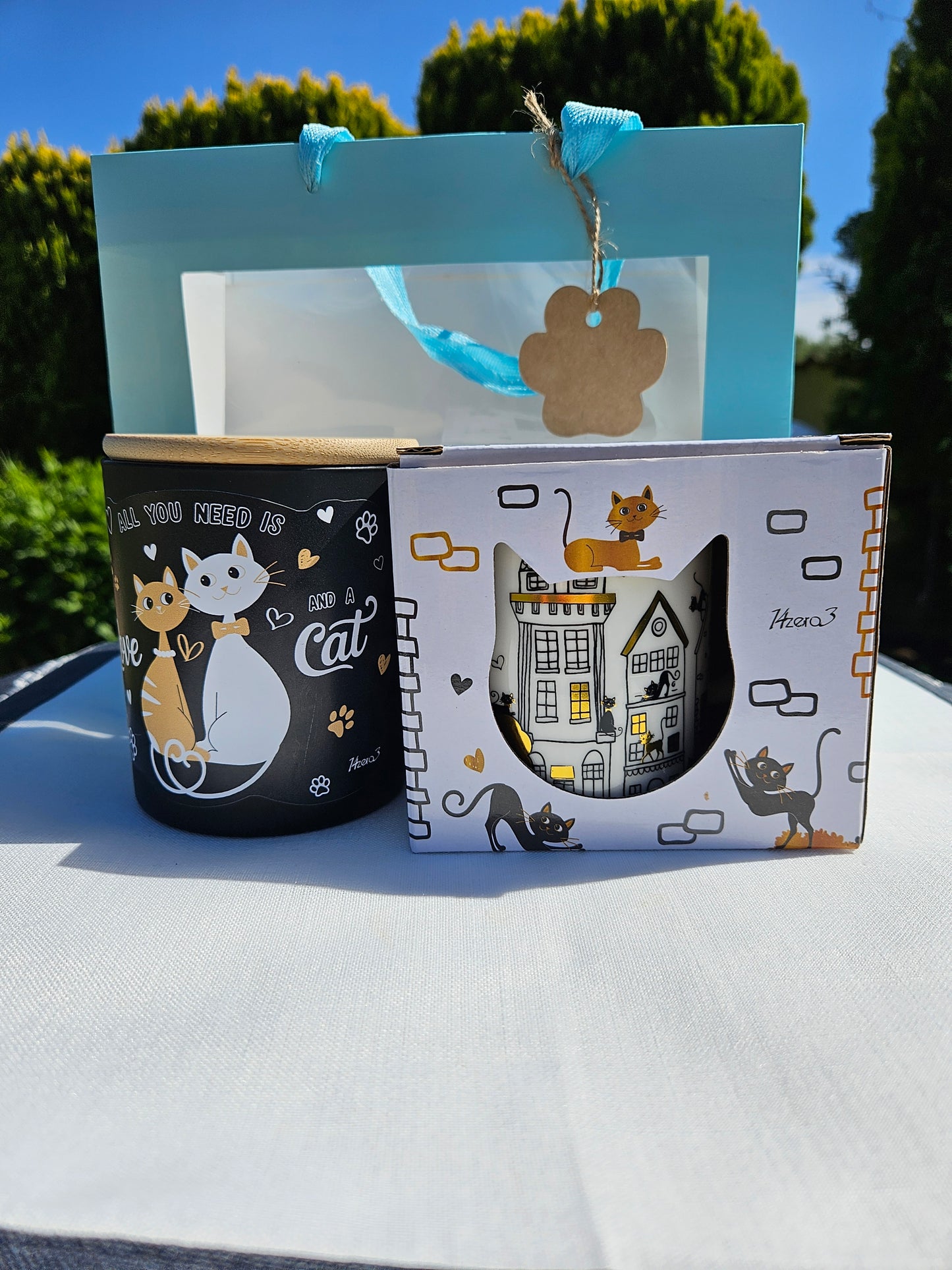 ➔ Set regalo - Gatti innamorati