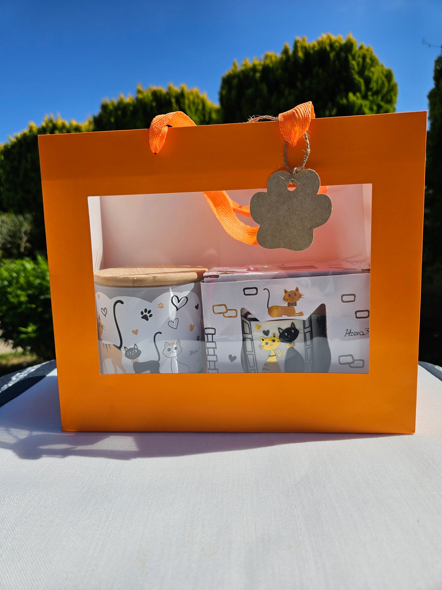 ➔ Set regalo - Gatti innamorati