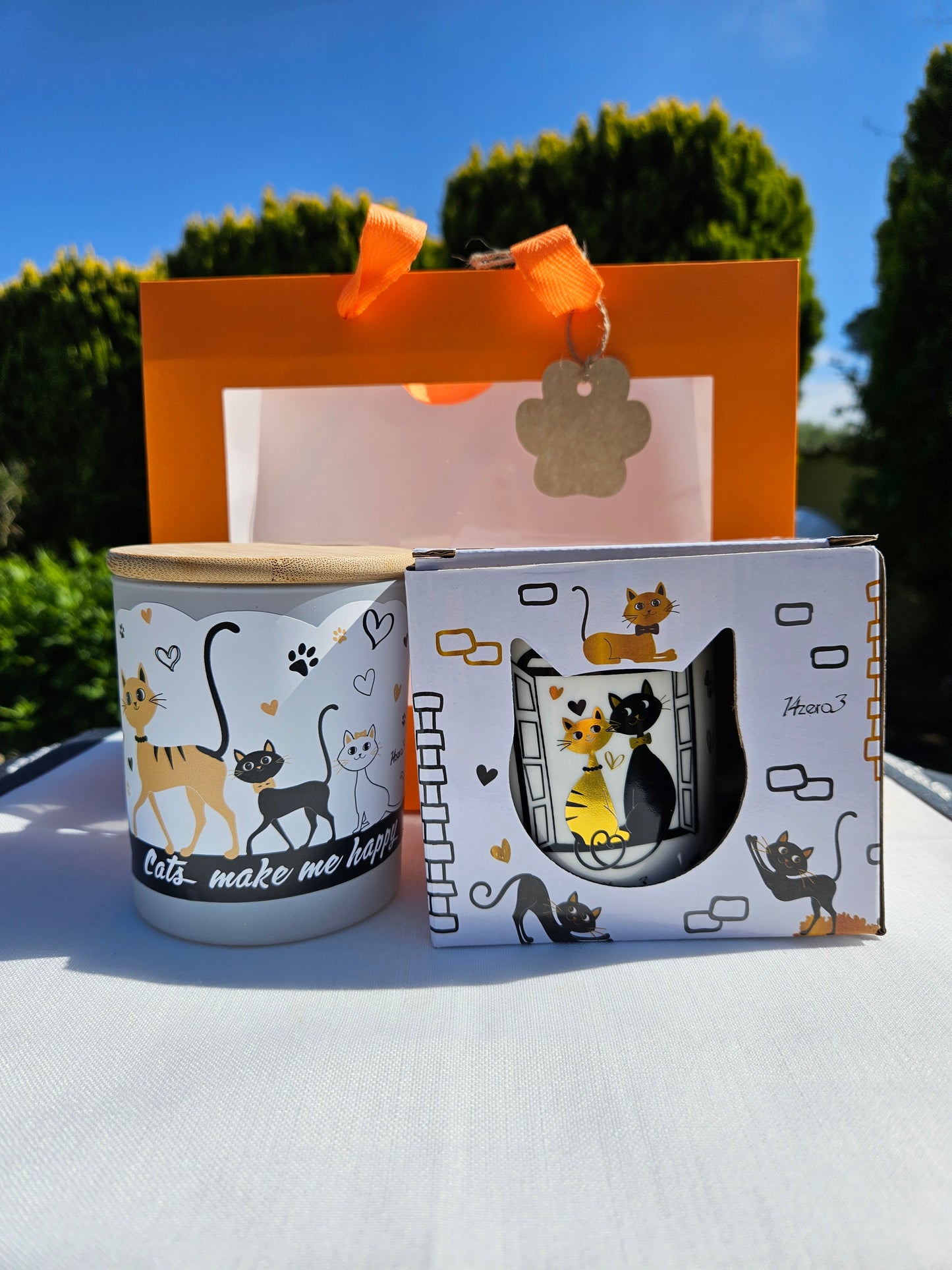 ➔ Set regalo - Gatti innamorati
