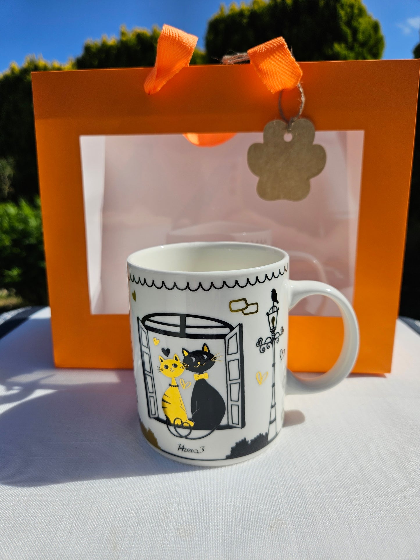 ➔ Set regalo - Gatti innamorati