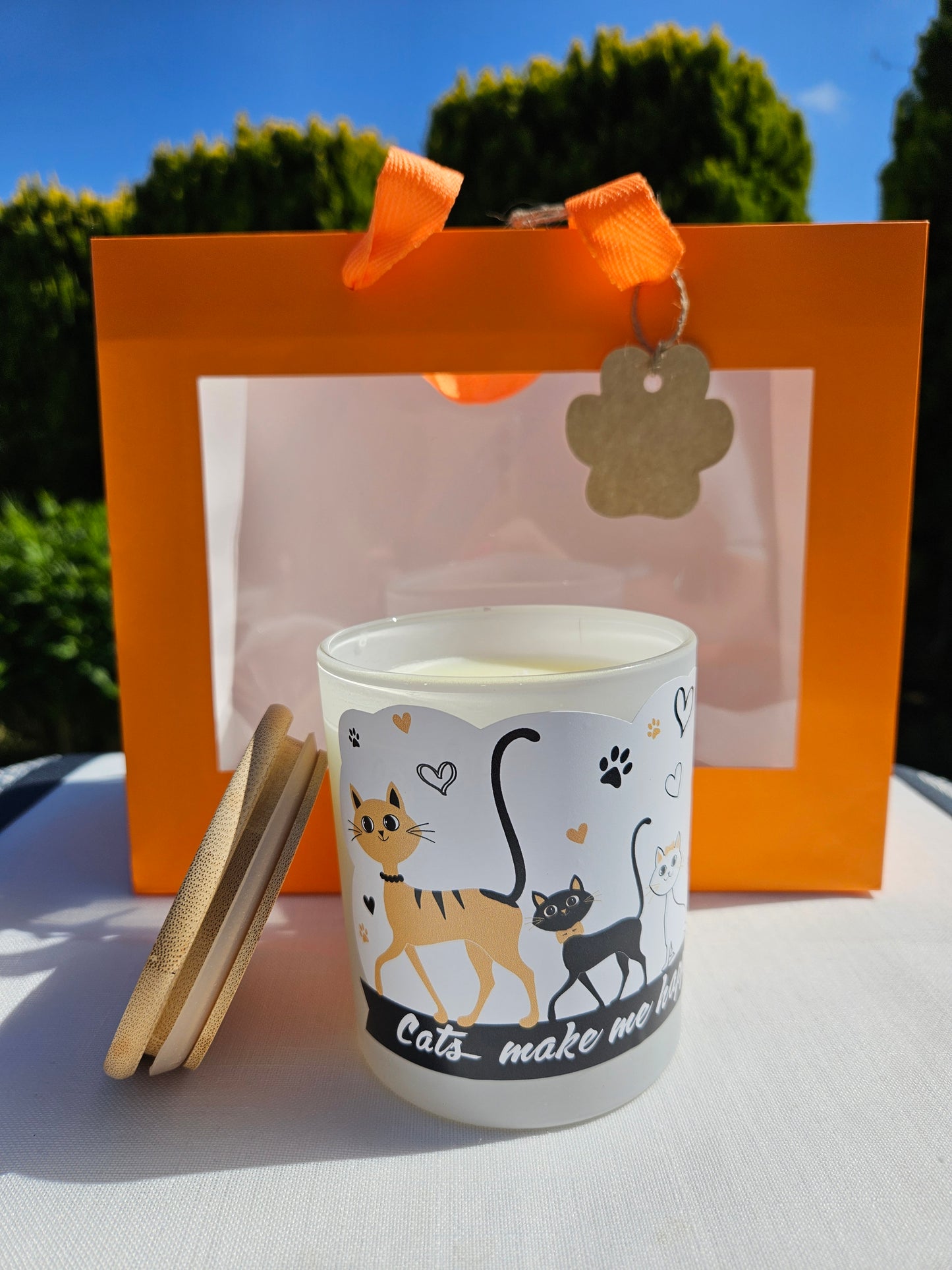 ➔ Set regalo - Gatti innamorati