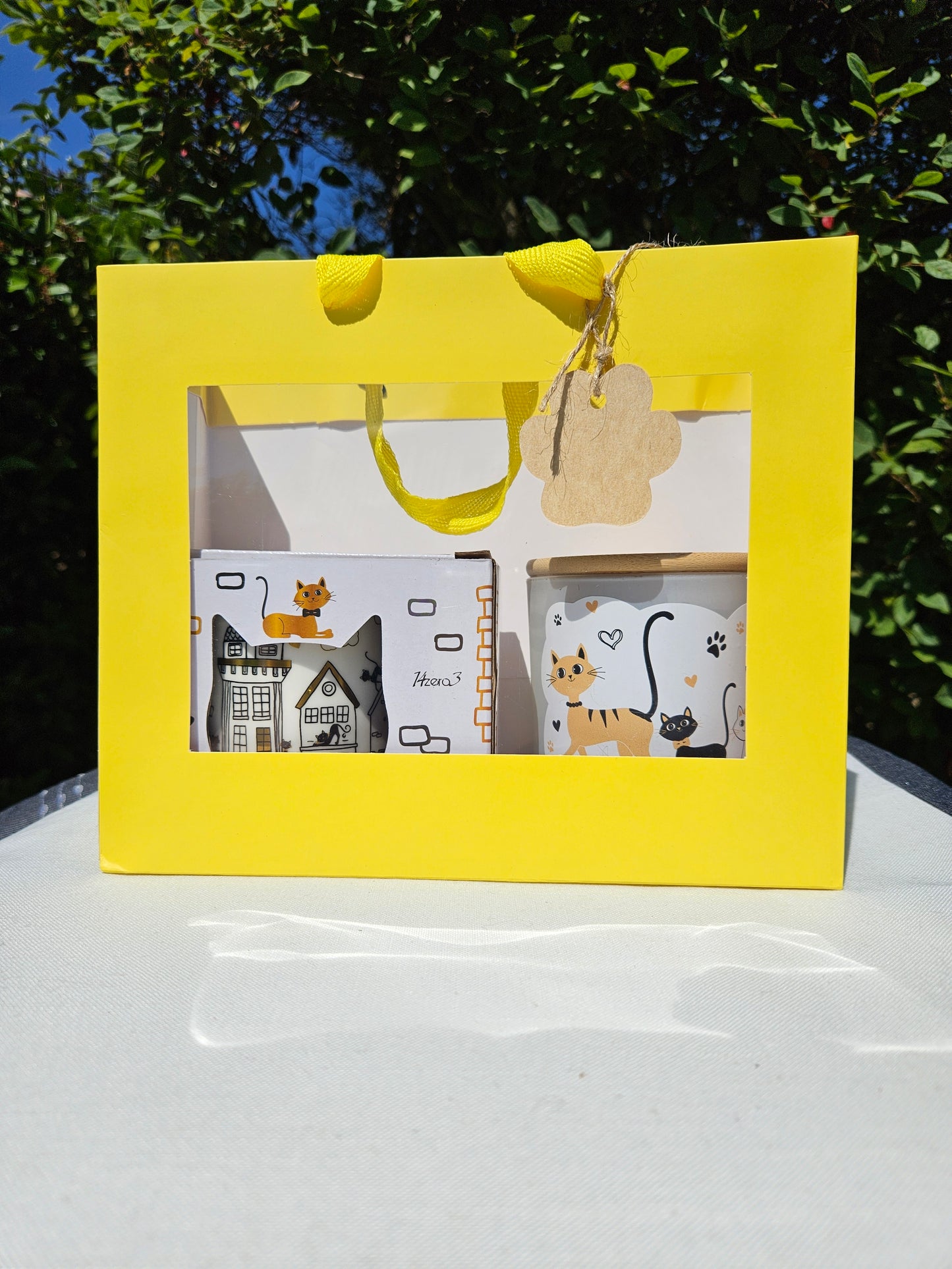 ➔ Set regalo - Gatti innamorati