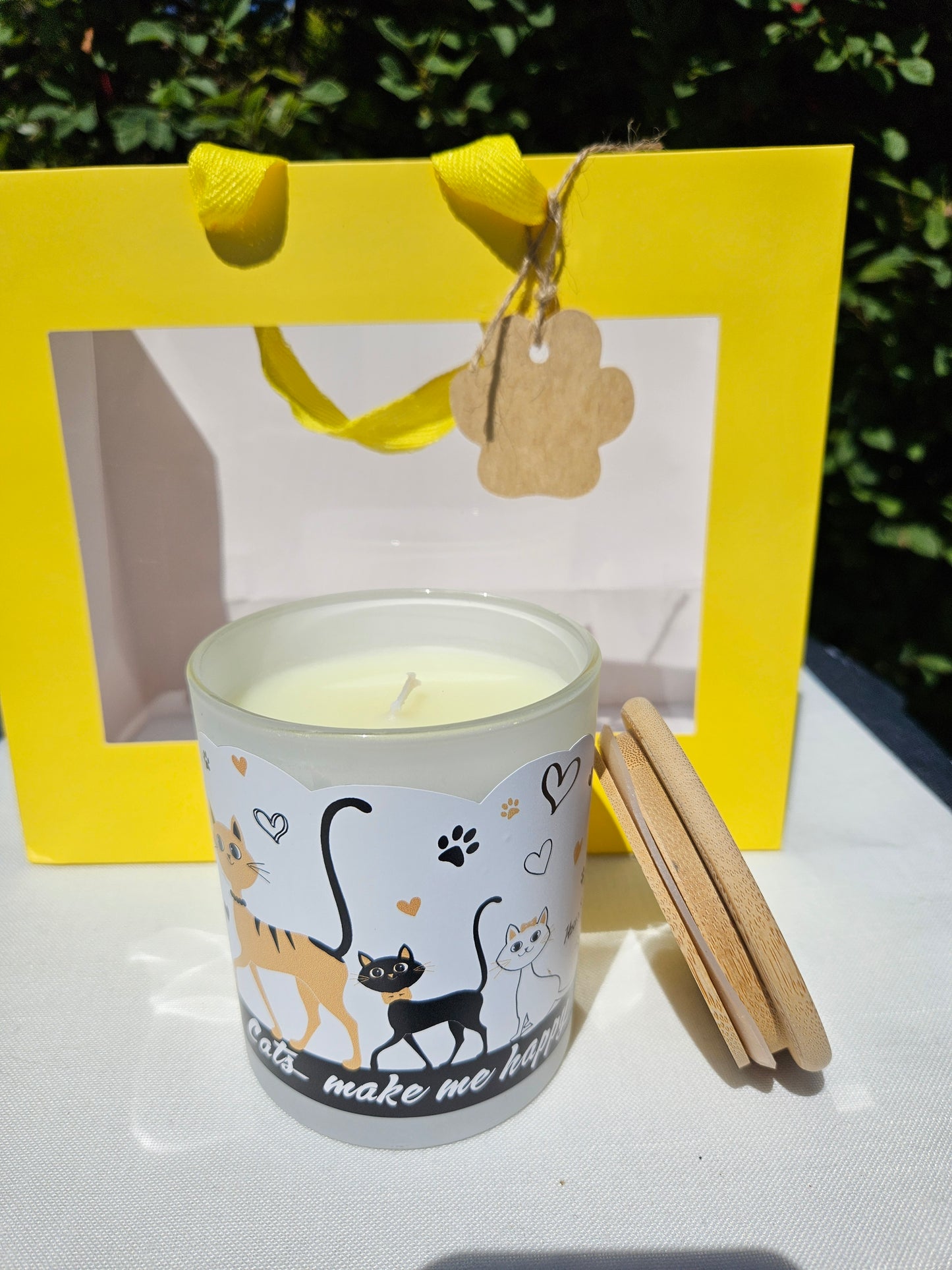 ➔ Set regalo - Gatti innamorati