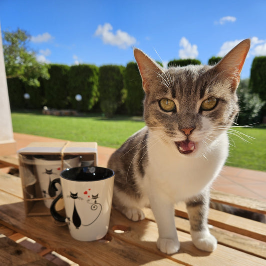 Tazze con Gatti: Perché Sono il Regalo Perfetto per Ogni Cat Lover