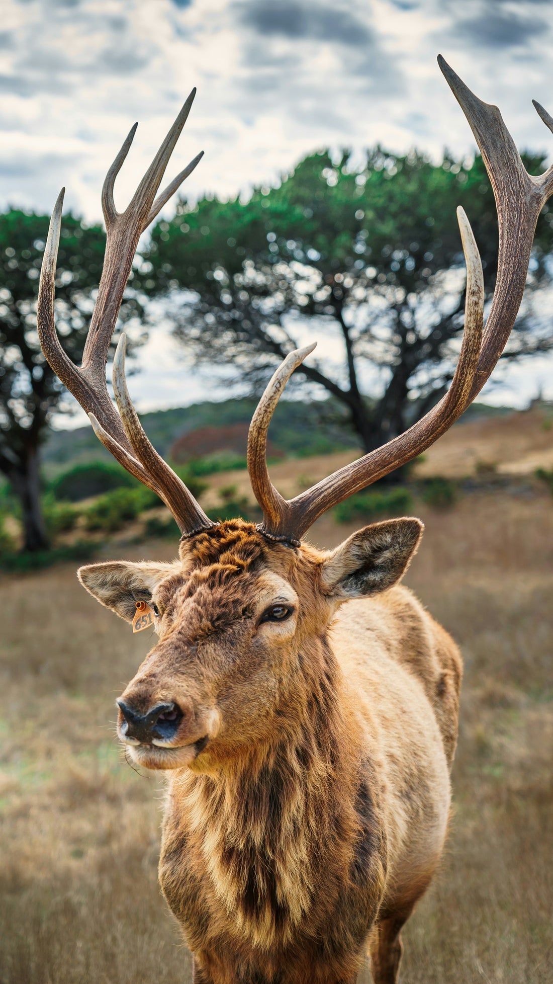 Giornata della Fauna Selvatica: il Tesoro della Natura