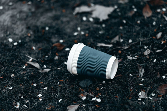Sostenibilità nella scelta della porcellana: perché dire addio a plastica e carta
