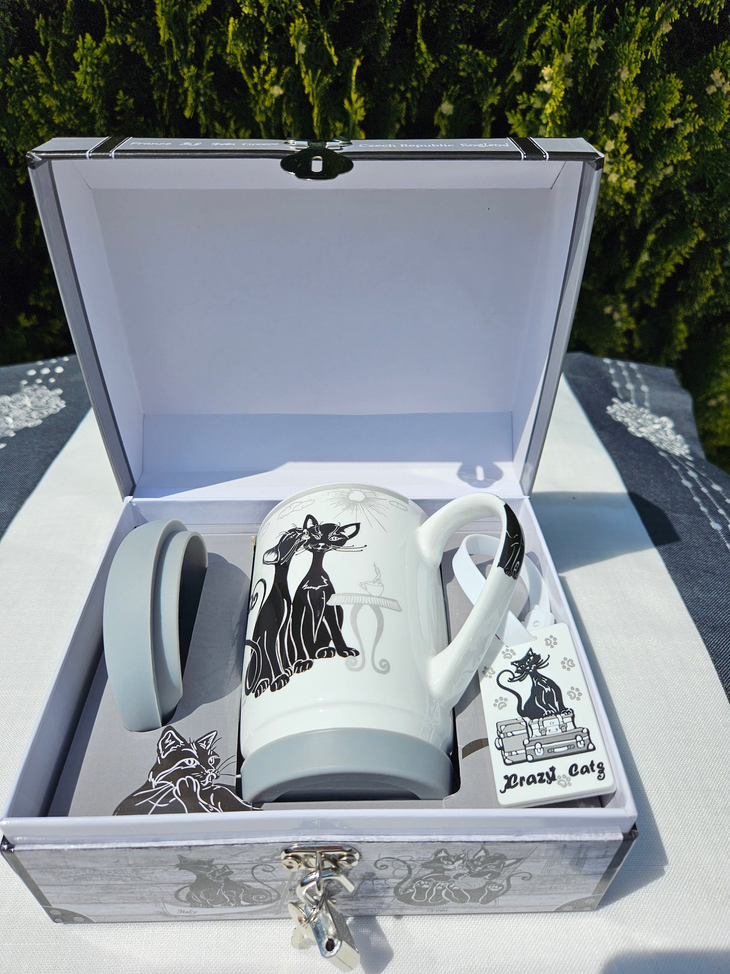 ➔ Mug - Travelling - Crazy Cats, Parigi (CARMANI)