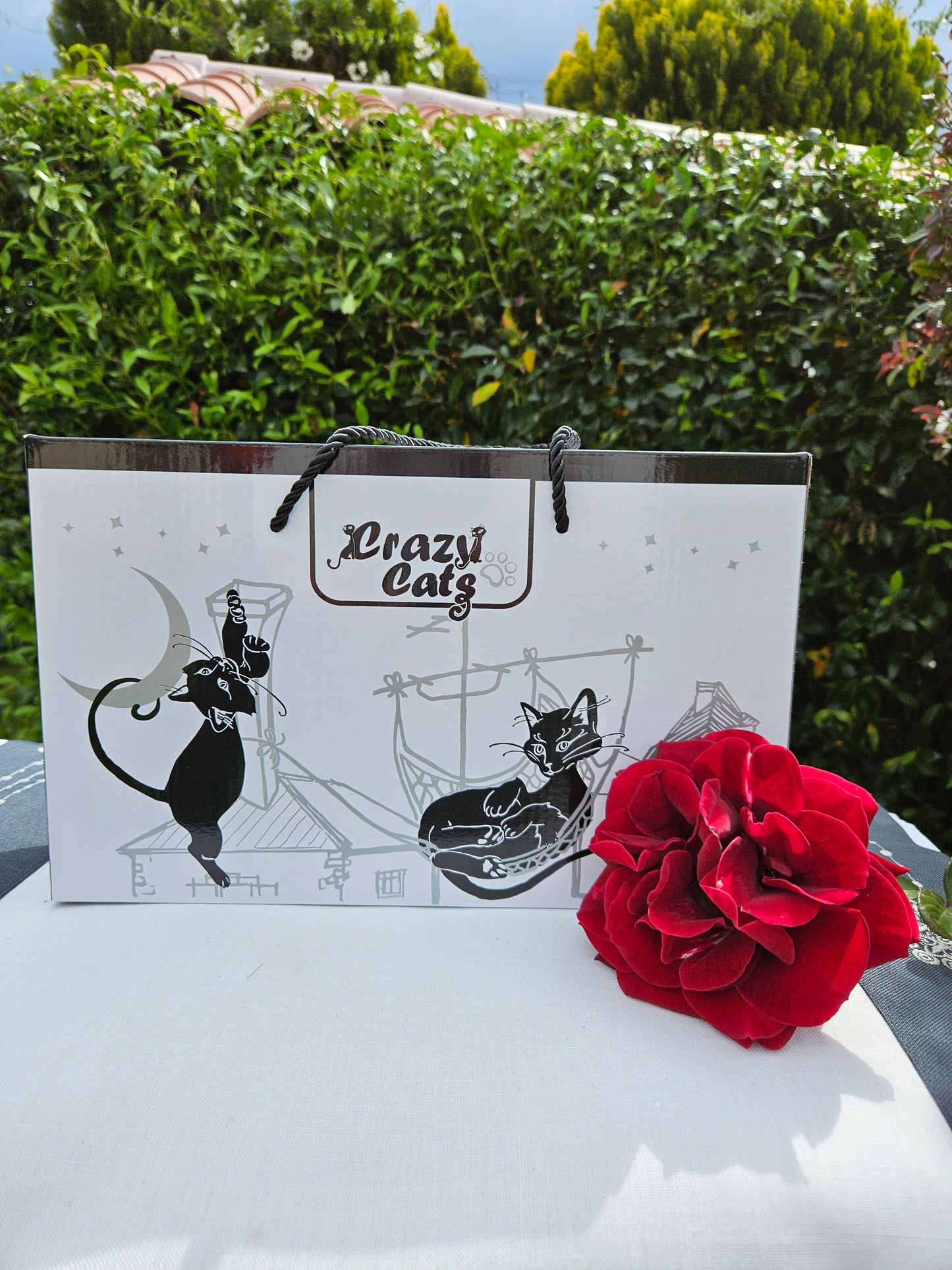 ➔ Set 2 tazze Crazy Cats - Gatti pigroni - Carmani