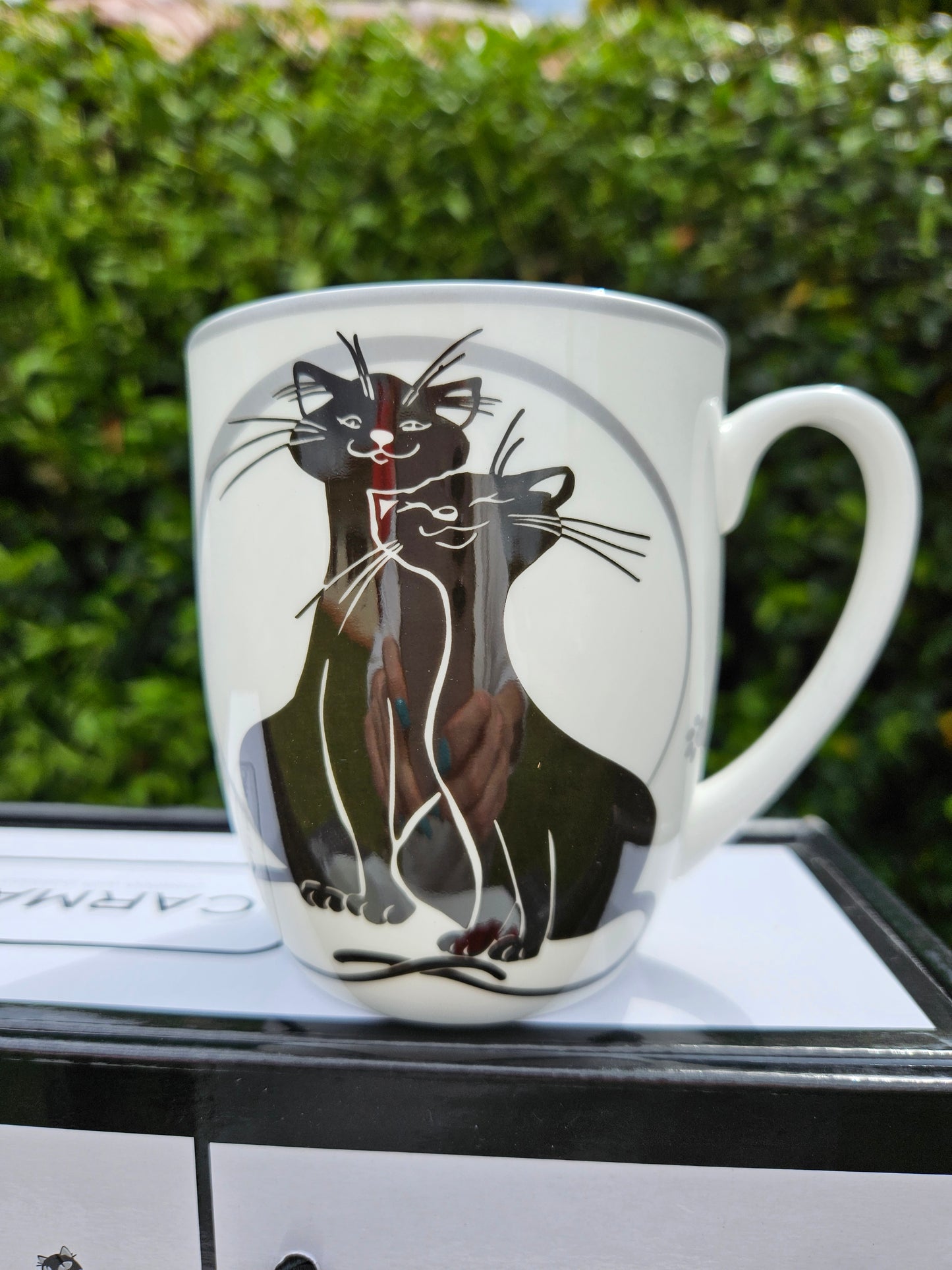 ➔ Set 2 tazze Crazy Cats - Gatti pigroni - Carmani