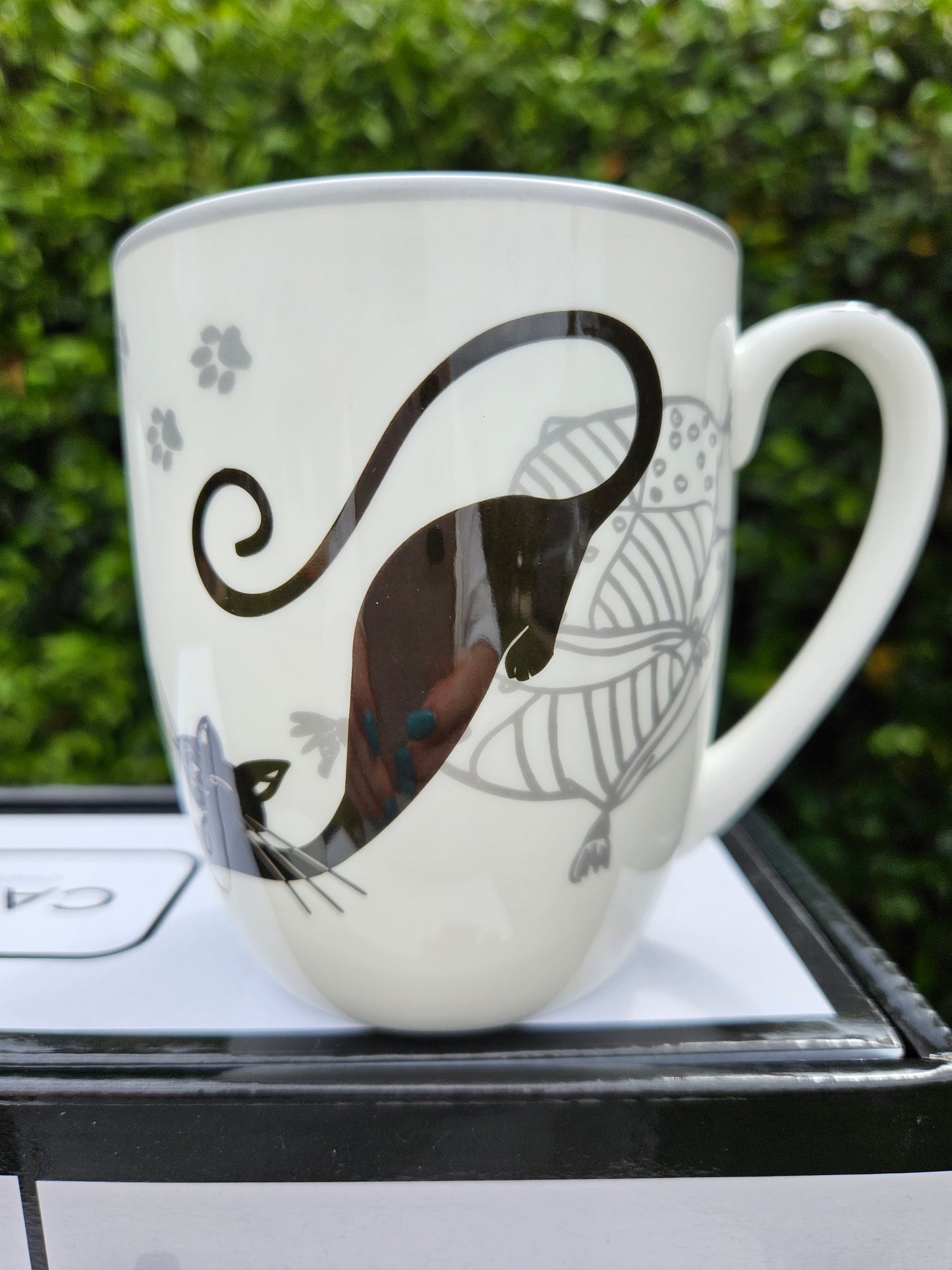 ➔ Set 2 tazze Crazy Cats - Gatti pigroni - Carmani