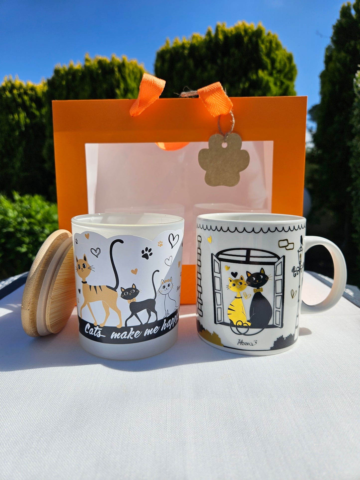 ➔ Set regalo - Gatti innamorati